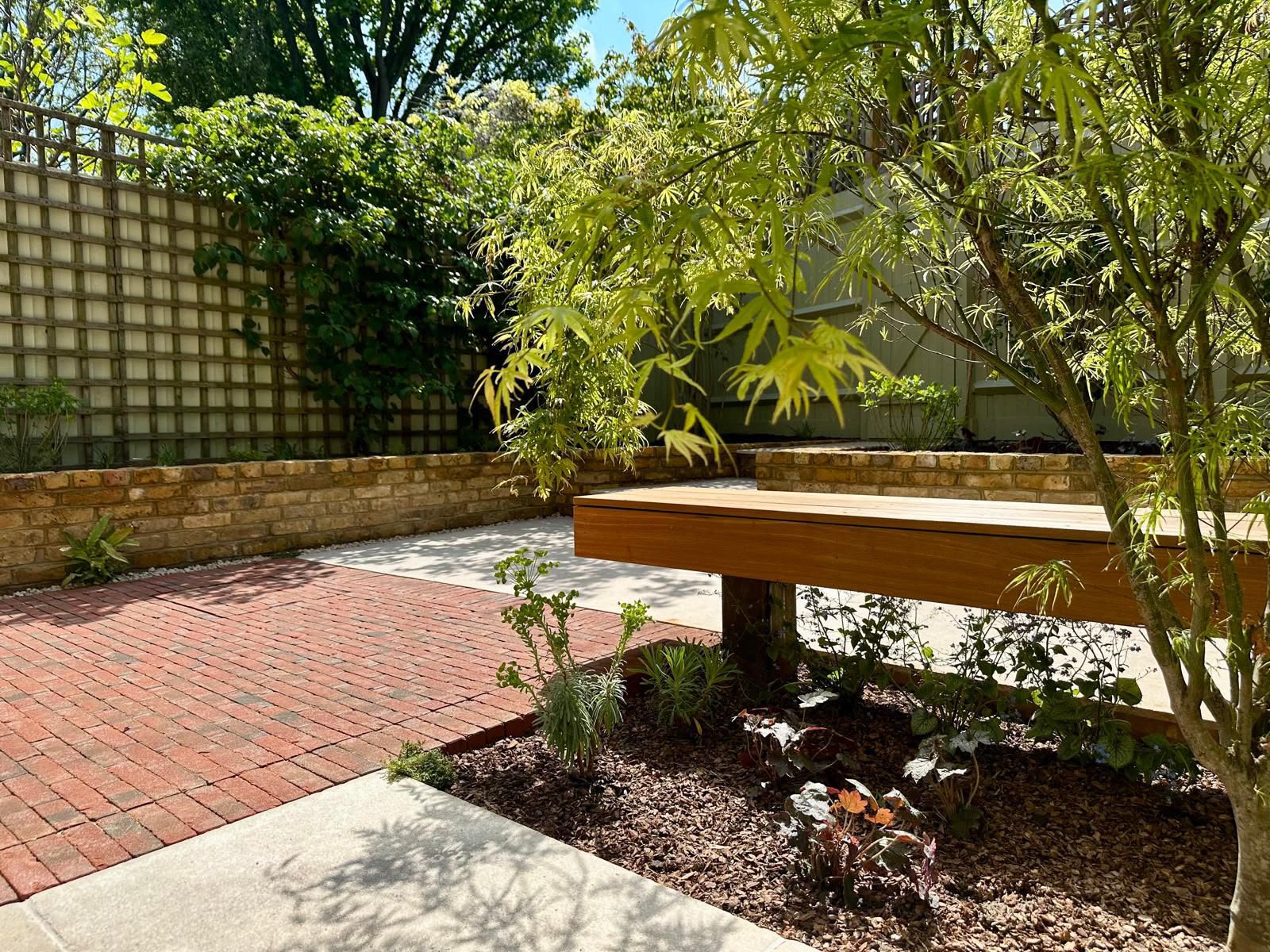 A Japanese maple beside a floating timber bench, with red brick paving and a low yellow-brick wall.